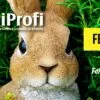Páscoa 2019 - EQUIPROFI