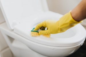 crop faceless housekeeper cleaning toilet bowl 4239036