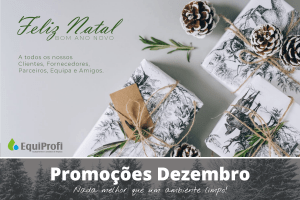 Feliz Natal e Bom Ano 2021