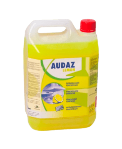 Audaz