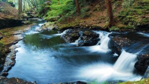 equiprofi fundo natureza riacho 1920x1080 1