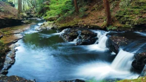 equiprofi fundo2 natureza riacho 1920x1080 1